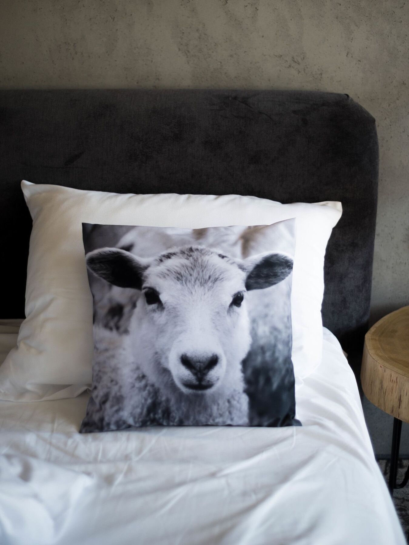 Biala Owca Bed & Breakfast Zakopane Ngoại thất bức ảnh A cushion